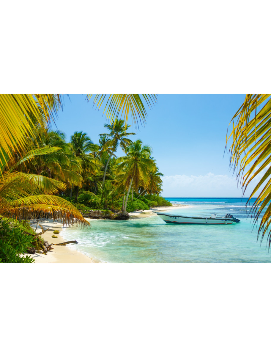 popular-vendors-detail