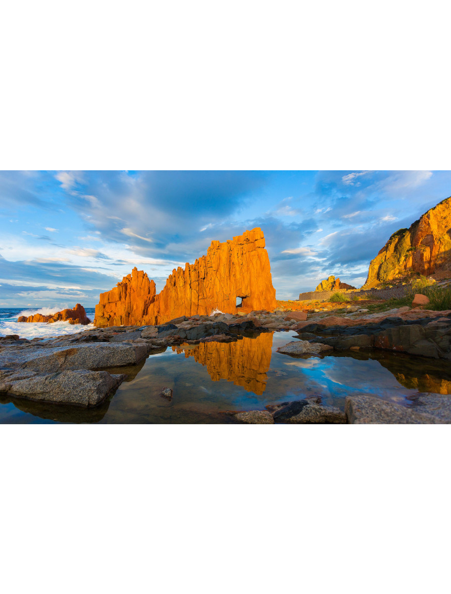 popular-vendors-detail