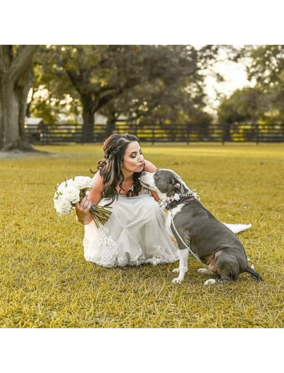 popular-vendors-detail