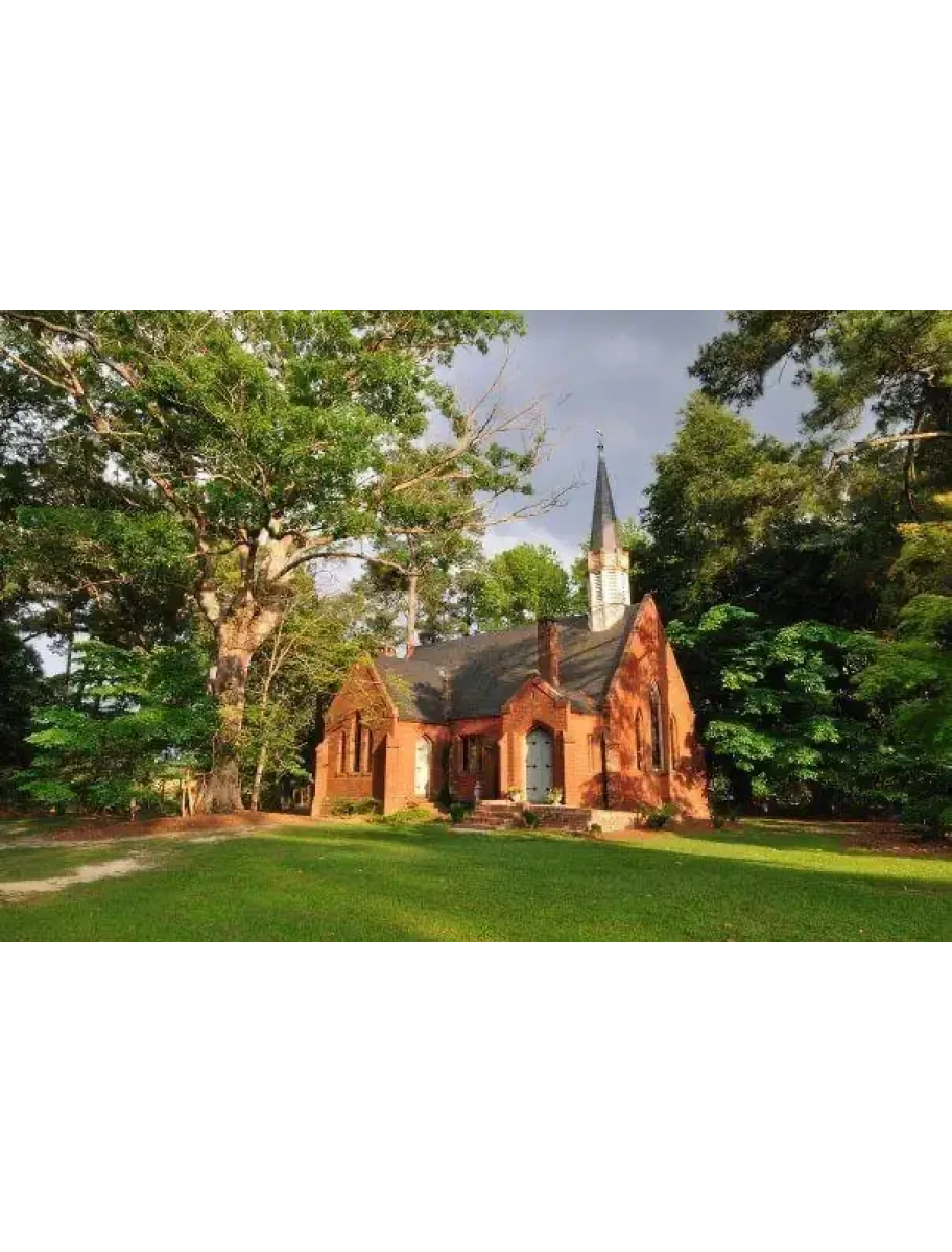 popular-vendors-detail