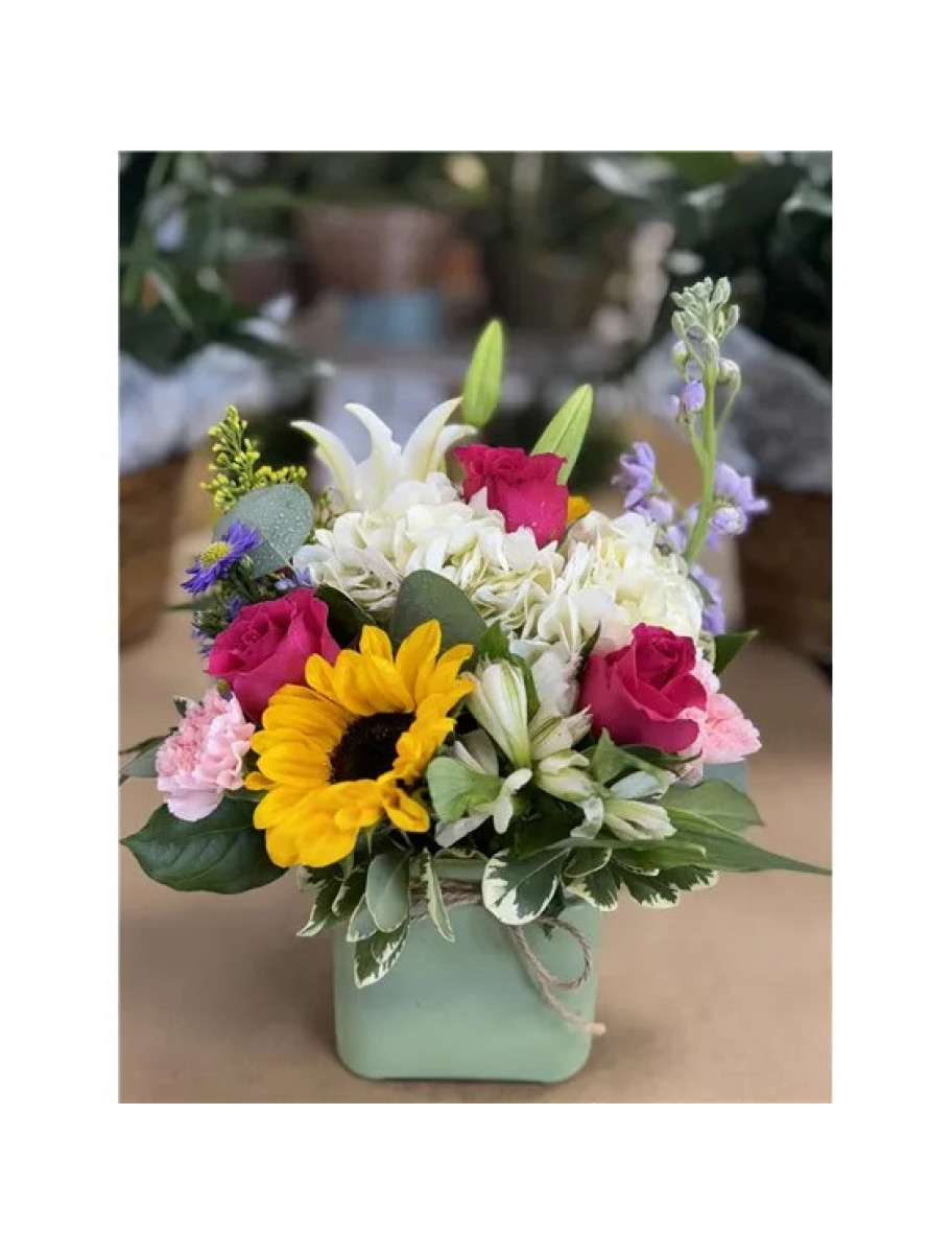 popular-vendors-detail