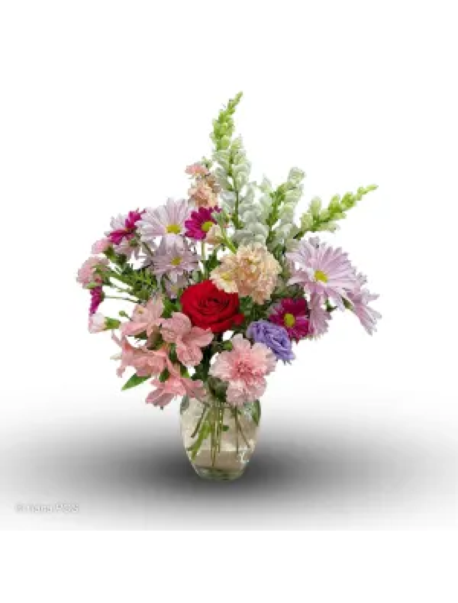 popular-vendors-detail