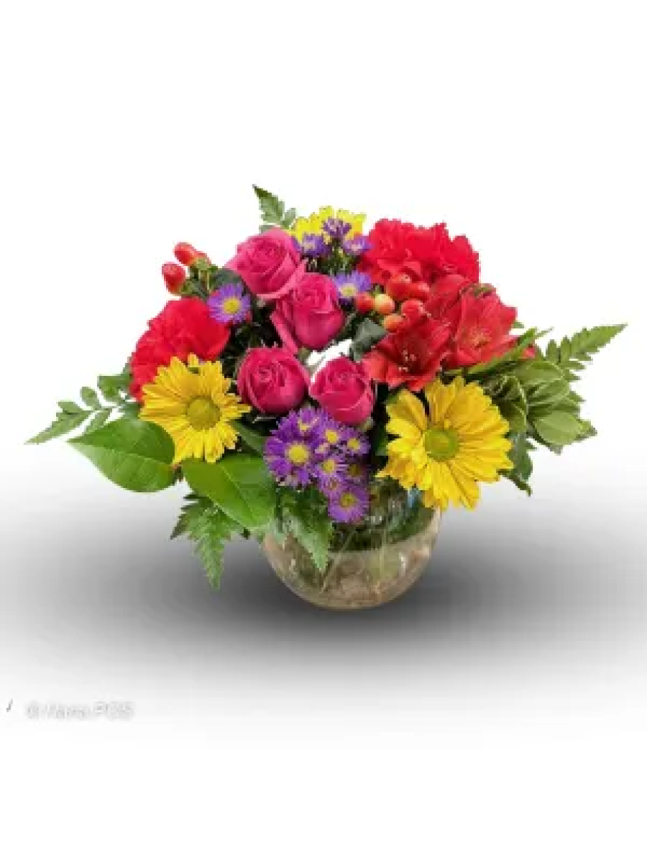 popular-vendors-detail