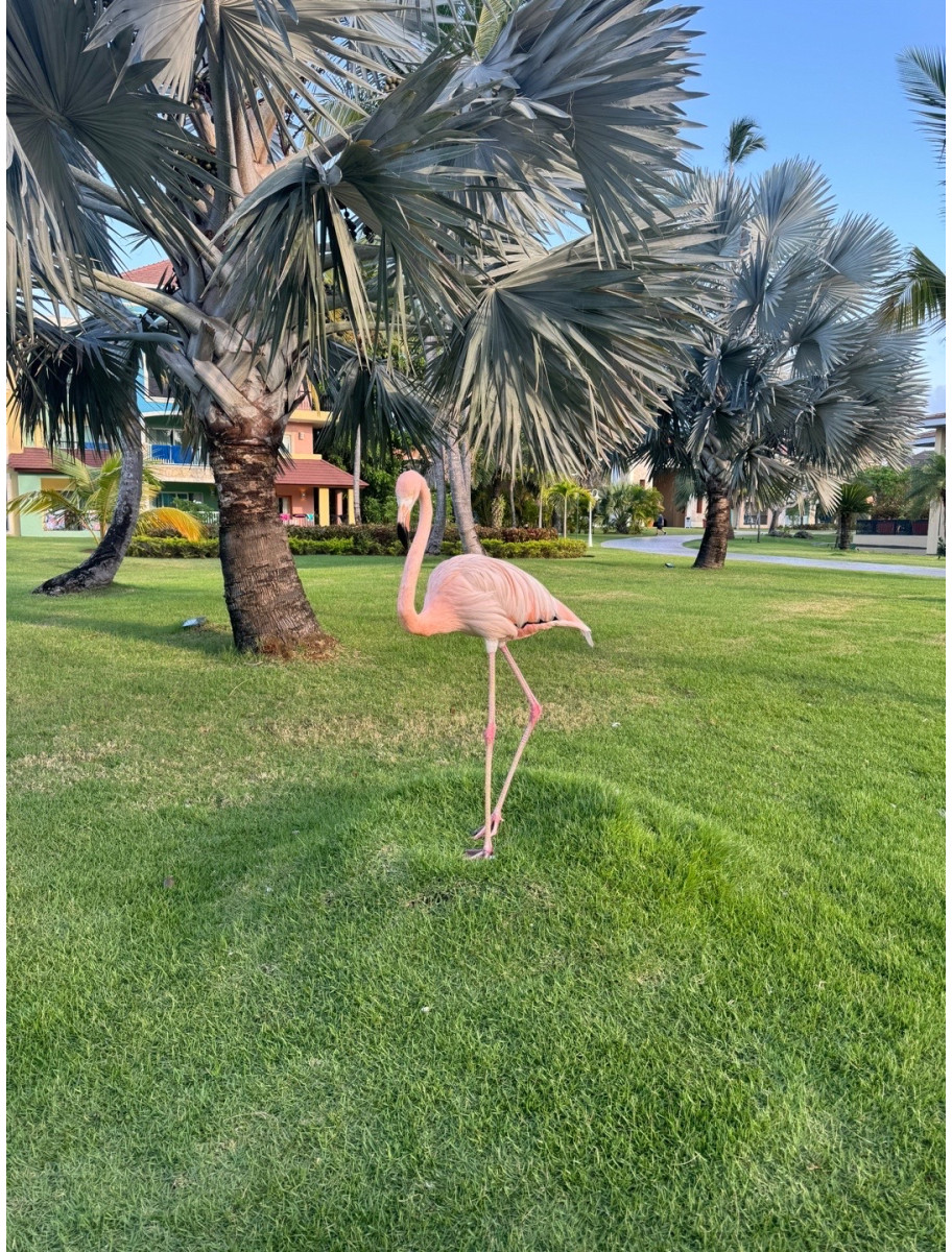 popular-vendors-detail