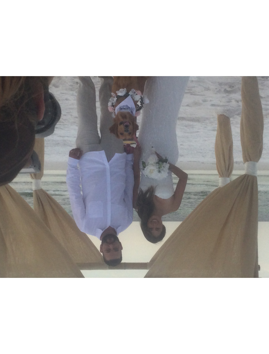 popular-vendors-detail