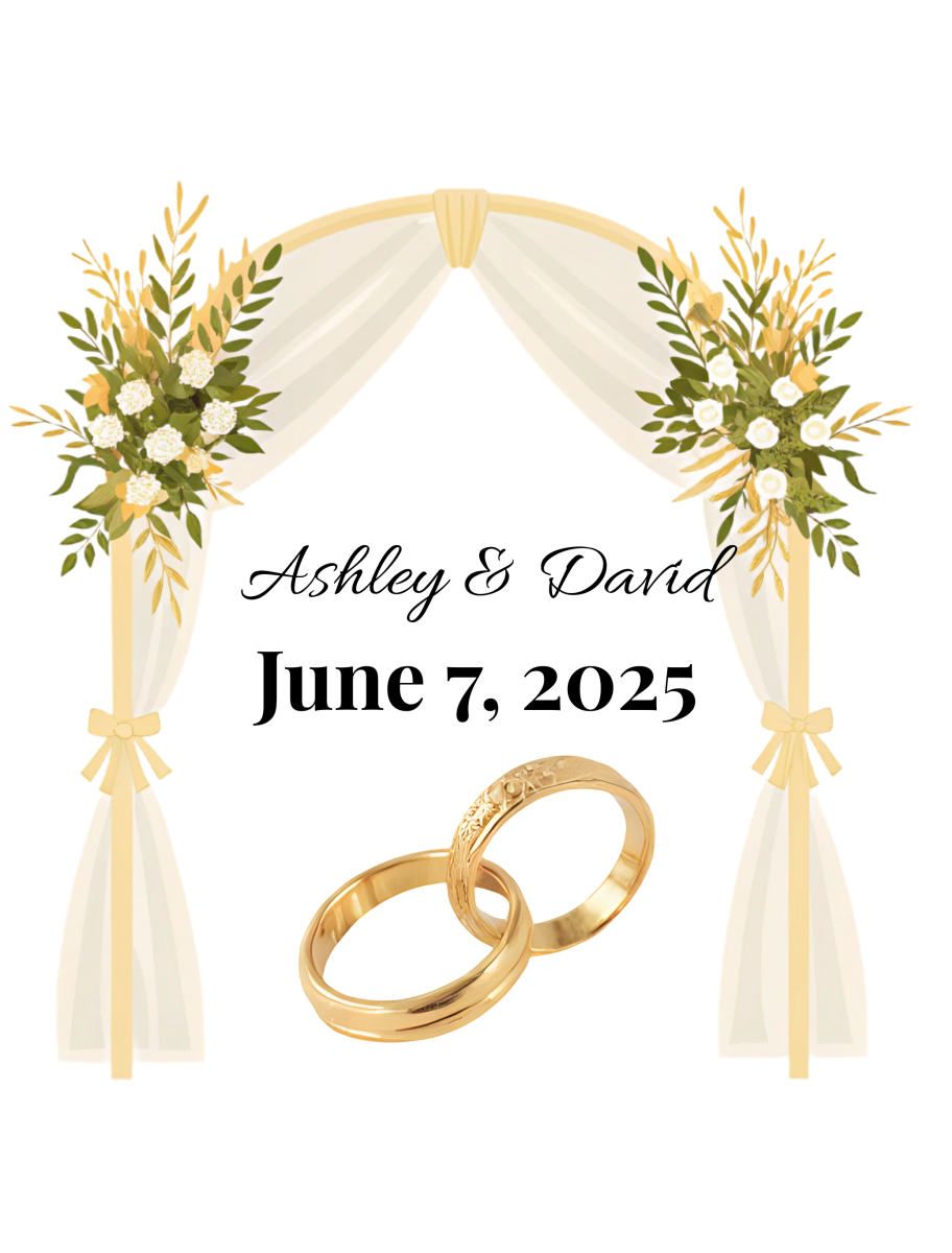 popular-vendors-detail