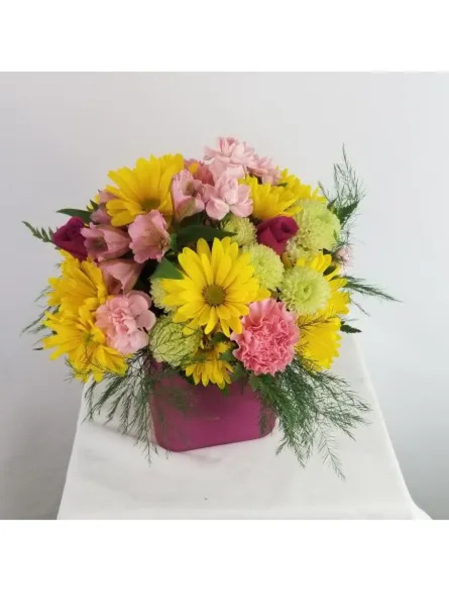 popular-vendors-detail