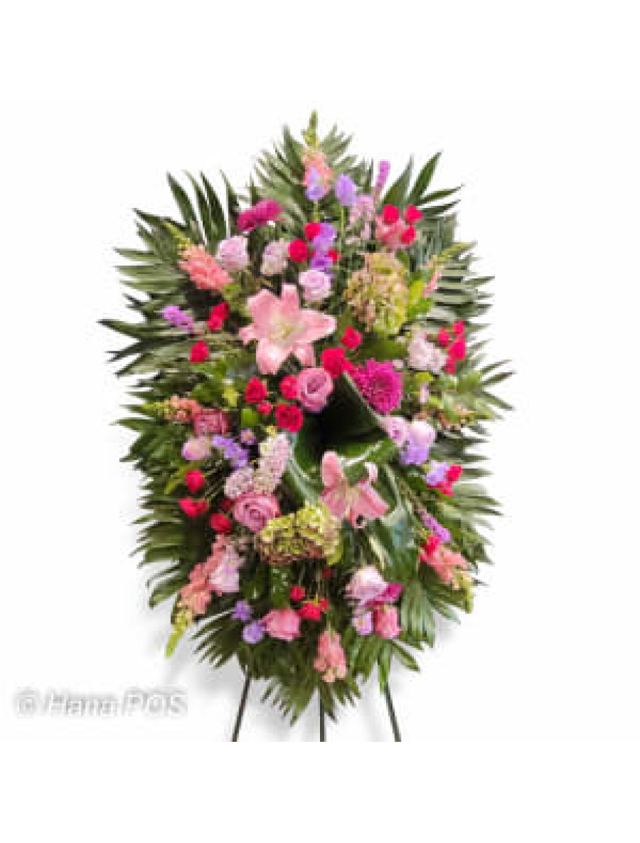 popular-vendors-detail