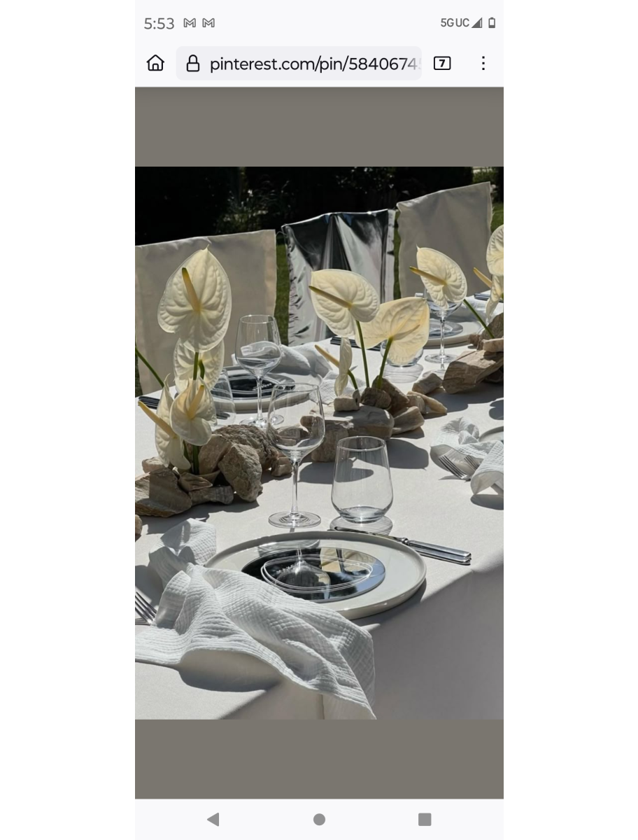 popular-vendors-detail