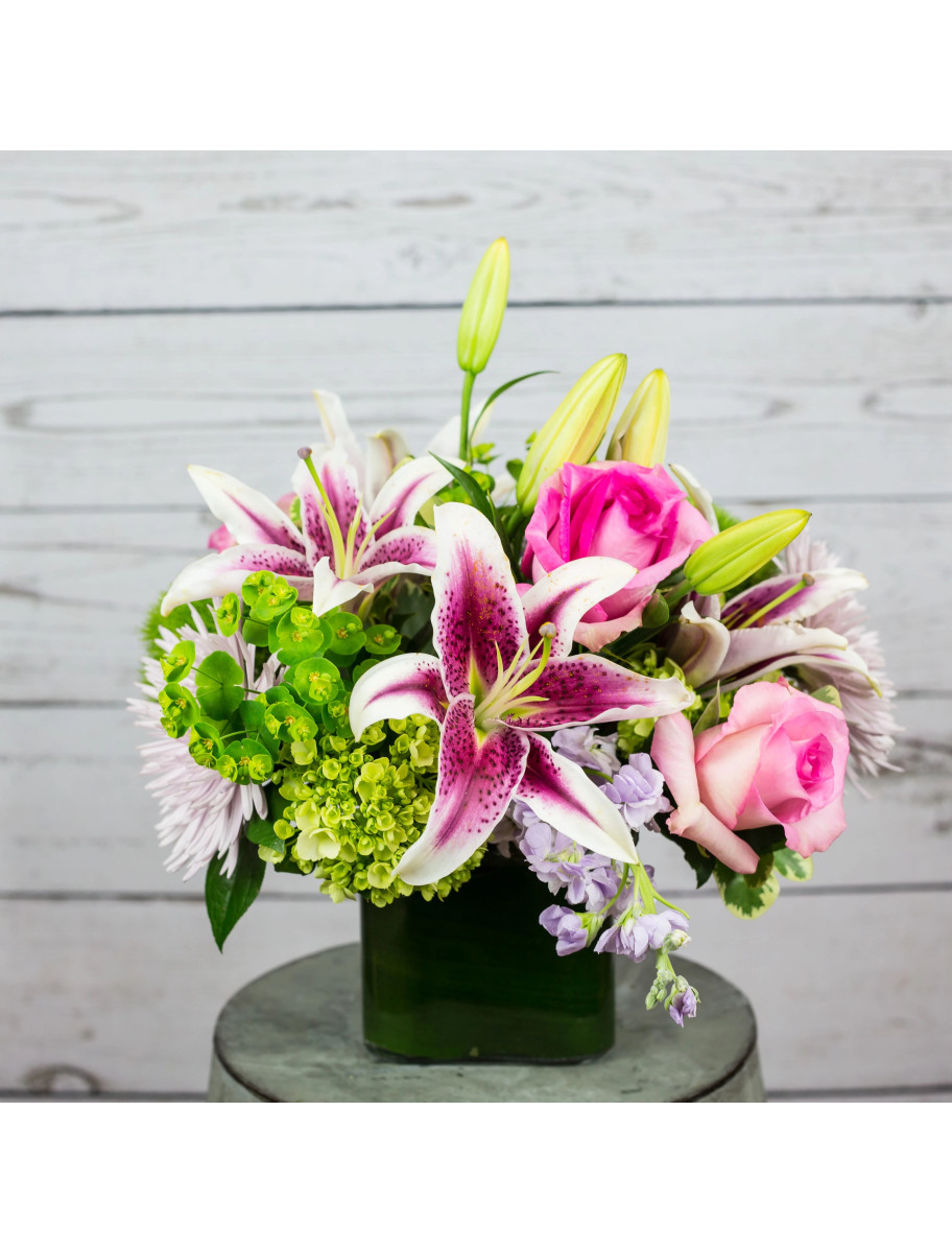 popular-vendors-detail