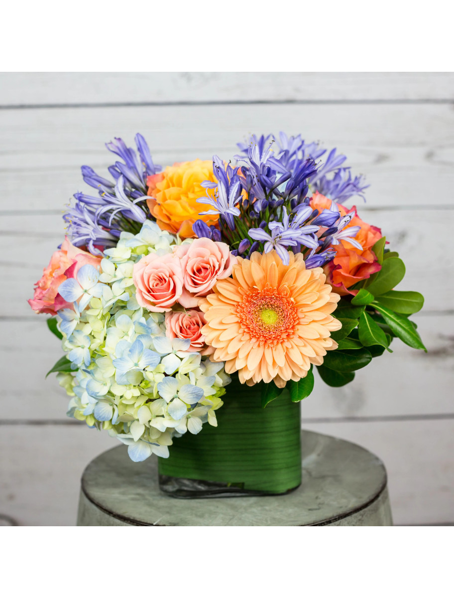 popular-vendors-detail