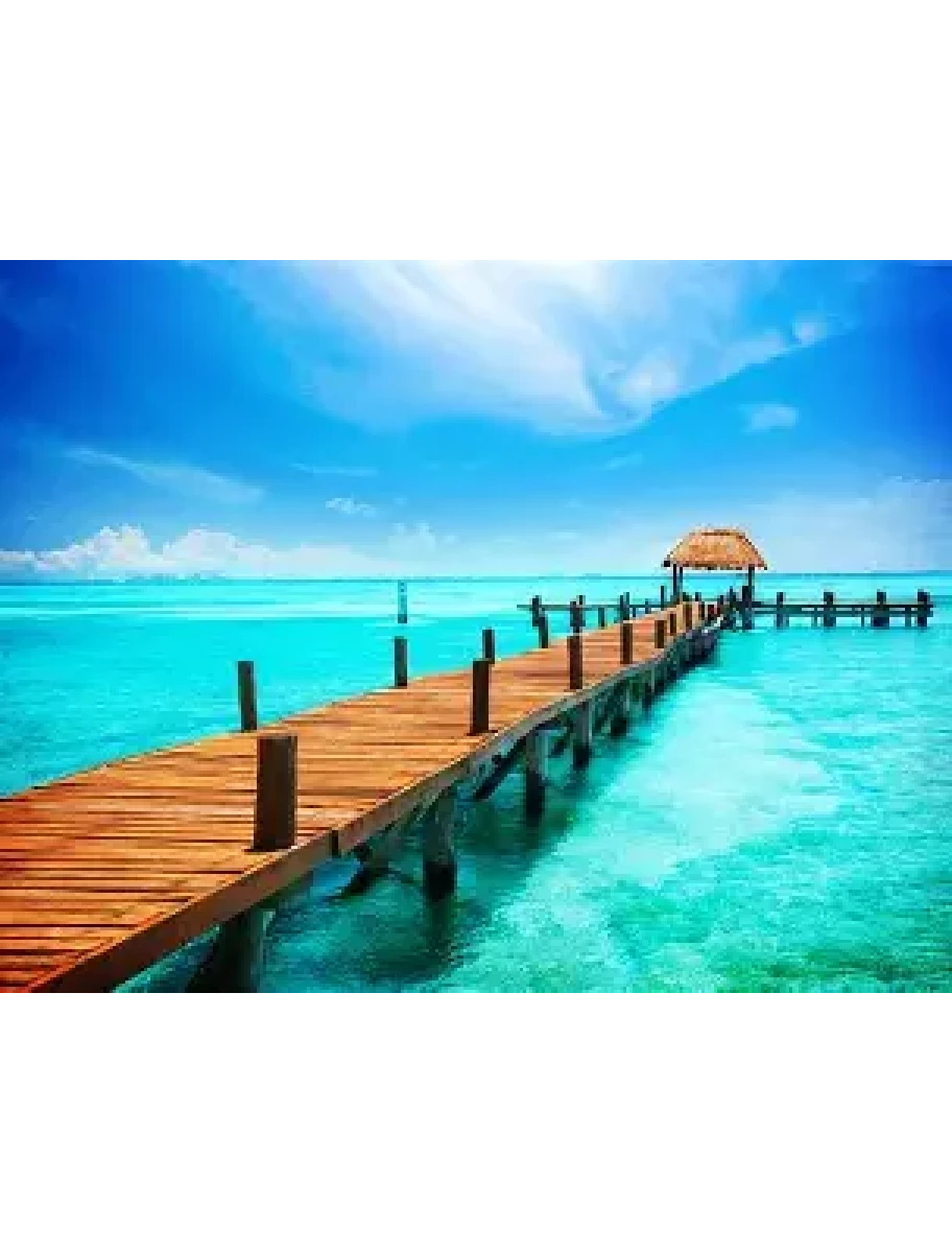 popular-vendors-detail