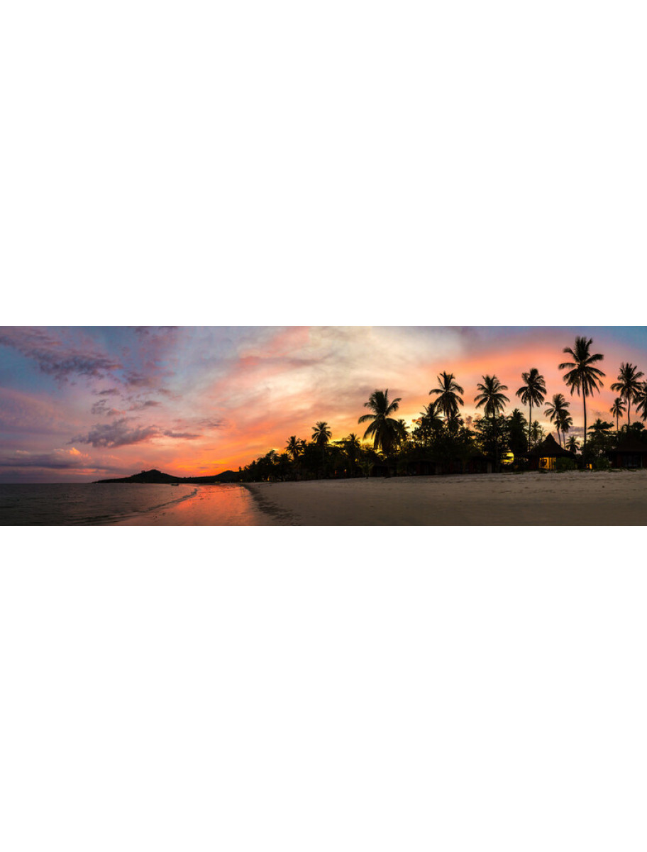 popular-vendors-detail