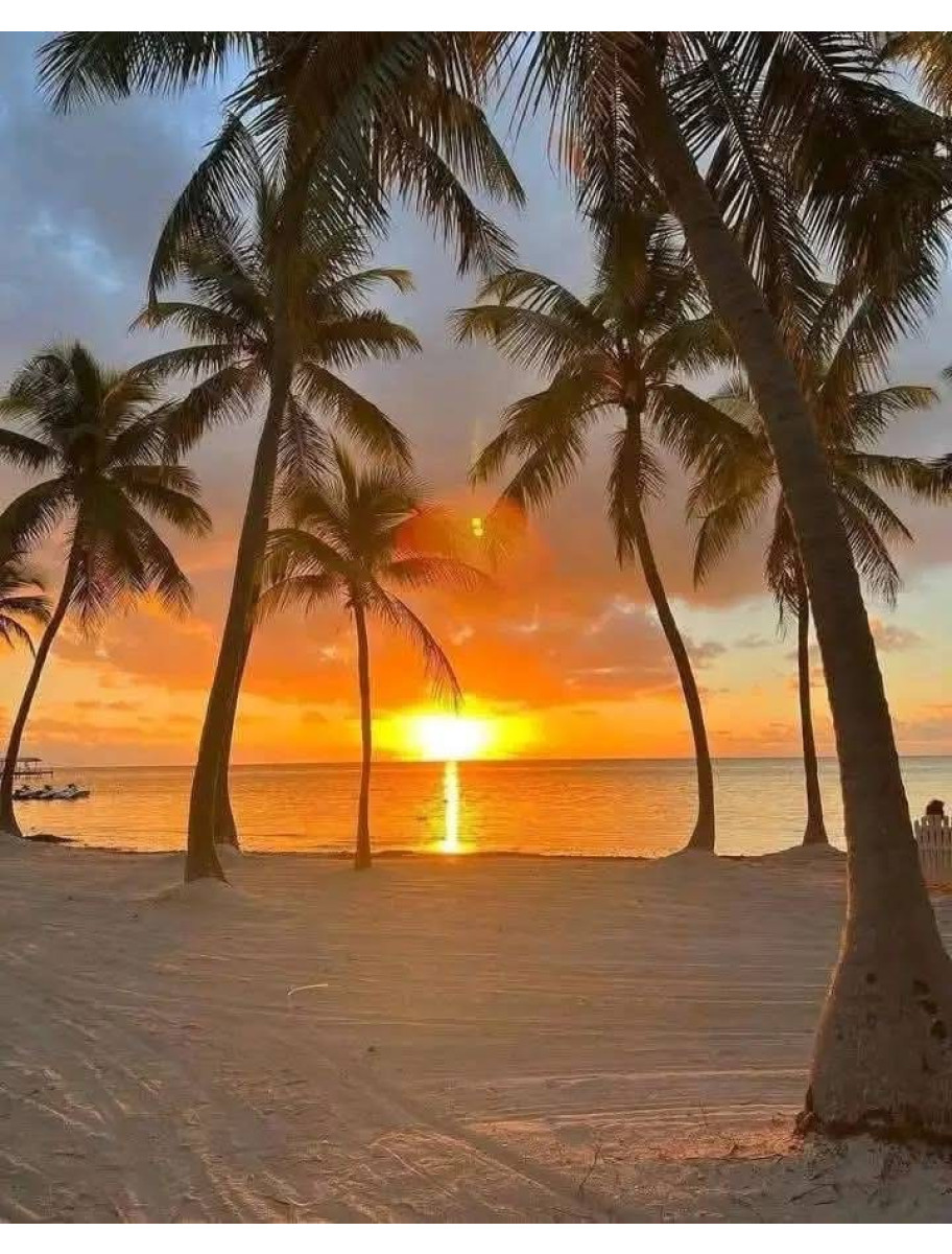 popular-vendors-detail