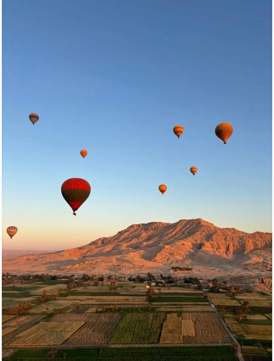 popular-vendors-detail